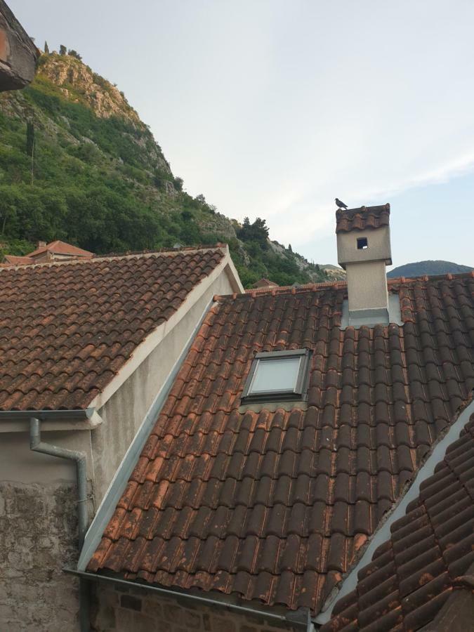 Nova Dvokrevetna Soba Sa Dva Odvojena Kreveta I Zajednickim Kupatilom Hotell Kotor Exteriör bild